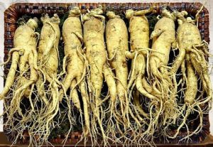 Sìn Sú Tây Nguyên